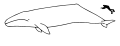 Минијатура за верзију на дан 06:04, 29. март 2007.