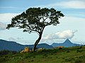 Felsformationen im Highland-Komplex im Nuwara Eliya-Distrikt/Sri Lanka