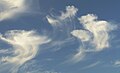 – – Virga (Wolkenschleier) bei Wolkenresten, Schweden