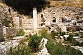 Amatusas drupas