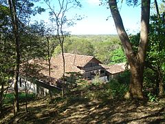 Bosque tropical seco Santa Rosa