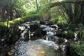 Small plunge pool on the Goldmines River