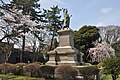 掃部山公園の桜