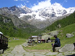 Il massiccio del Monte Rosa visto dall'Alpe Pile.