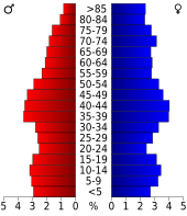 Bevolkingspiramide Martinsville