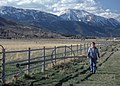 Image 17Ranching in Washoe County (from Nevada)