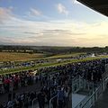 Image 1Epsom Downs, a racecourse which hosts The Derby annually. One of four in the county. (from Portal:Surrey/Selected pictures)