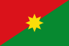 Flag of Department of Casanare