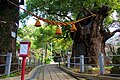 山王神社