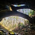 Image 37The Natural Bridge Rock in Winston County is the longest natural bridge east of the Rockies. (from Alabama)