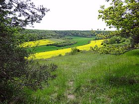 Boncourt (Eure-et-Loir)