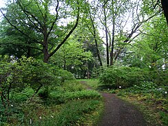 Späthsches Arboretum