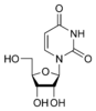 structure chimique de l'uridine