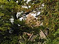 Bellerive Castle roof