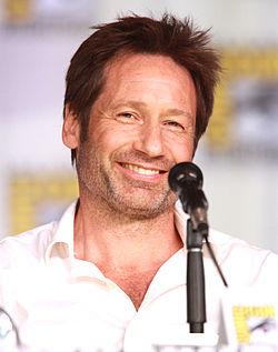 David Duchovny 2013.