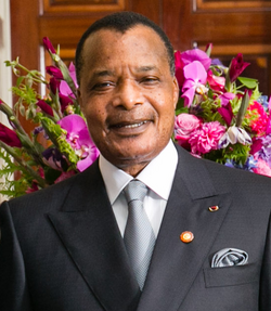 Image illustrative de l’article Président de la république du Congo