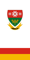 Flag of Váralja