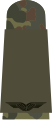 a. Flieger OR1 (flecktarn uniform – Luftwaffe)