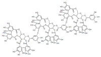 Image illustrative de l’article Lambertianine C