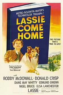 Lassie Come Home (1943 poster).jpg