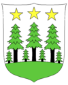 Wappen von Oberwald