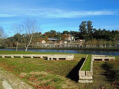 Camino de juncos de Enrique Velasco