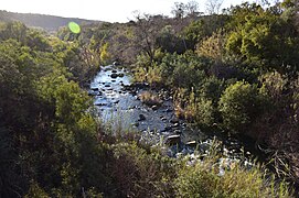 By Groot Marico, 23 km noord van die oog