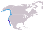 Aire de répartition de l'Éléphant de mer septentrional