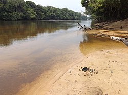 View of the Lomami River