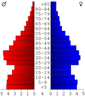 Bevolkingspiramide Barrow County