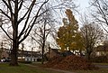 Arnhem-De Laar, el Bredasingel en el otoño
