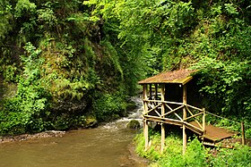 Pont japonais dans les gorges de la Jordanne