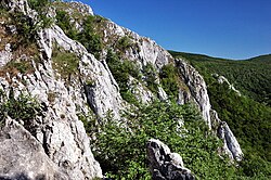 Kršlenica