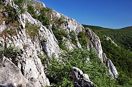 Kršlenica rocks