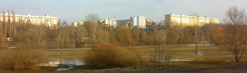 Panorama Osiedla Piastowskiego i Parku nad Wartą zza Warty, czyli z Bielników na Łęgach Dębińskich. Od lewej druga „deska” nr 56-62, Kościół Nawrócenia św. Pawła Apostoła, niebieski wieżowiec nr 115-116 i trzecia „deska” nr 97-103