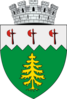 Coat of arms of Câmpulung Moldovenesc