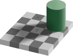 白と灰色のチェッカーボードに円柱が影を落としているイラスト。影の外の白のタイルAの色は、影に入った灰色のタイルBの色よりも明るく見える。しかしイラストの作成においてAとBのタイルに使われている色は同じである。