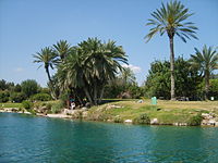 Piscina natural de agua caliente en Gan HaShlosha