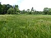 Thelnetham Fen