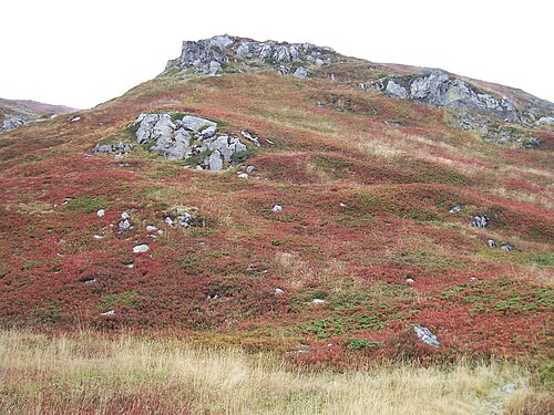 habitat near "Alpe Tre Potenze" Apennine Mountains, Italy