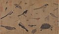 Image 29Description of rare animals (写生珍禽图), by Huang Quan (903–965) during the Song dynasty (from History of biology)