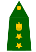 Coronel