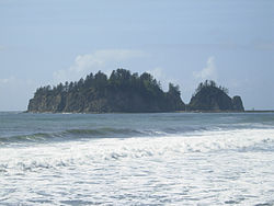 Skyline of La Push