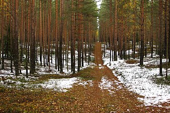 Камы в природном парке Куртна