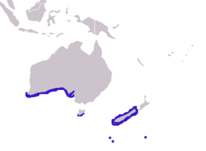 Description de l'image Arctocephalus forsteri distribution.png.