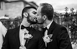 عکس از دو مرد همجنسگرا در تورنتو کانادا. عکاس پوریا افخمی