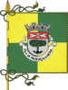 Flag of Proença-a-Nova