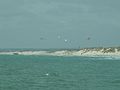 Plage et dunes de la torche.