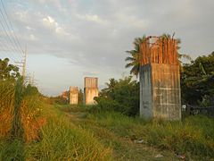 Abandoned columns of the Northrail project in Malolos.