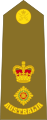 Lieutenant Colonel